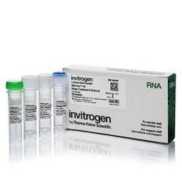 DNA-free™ DNA Removal Kit - Thermo Fisher Scientific - Life Sciences