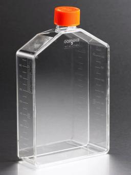 Corning® CellBIND® 225cm² Angled Neck Cell Culture Flask with Vent Cap - Corning Life Sciences - Life Sciences