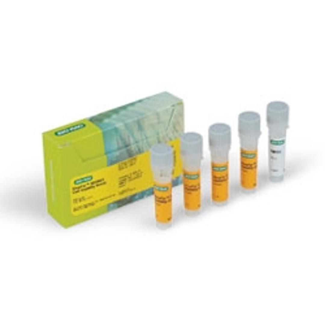 VivaFix™ 583/603 Cell Viability Assay - Bio-Rad - Life Sciences