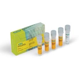 VivaFix™ 583/603 Cell Viability Assay - Bio-Rad - Life Sciences