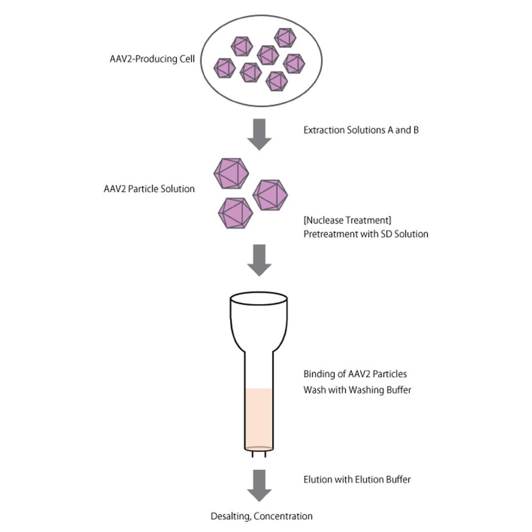 AAVpro® Purification Kit (All Serotypes) - Takara Bio