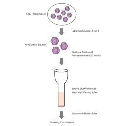AAVpro® Purification Kit (All Serotypes) - Takara Bio