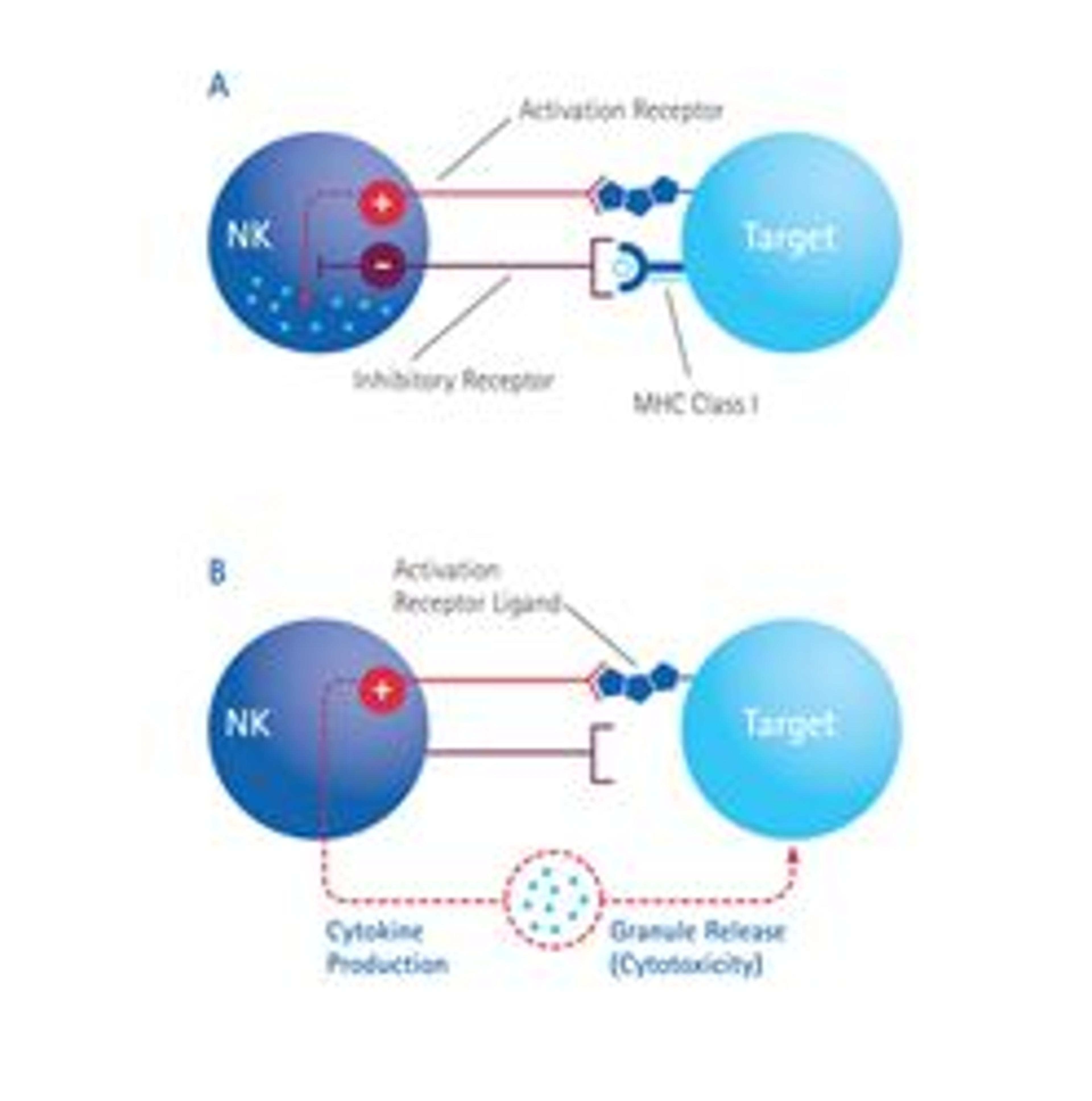 FlowCellect™ Human NK Cell Characterization Kit - Merck - Life Sciences