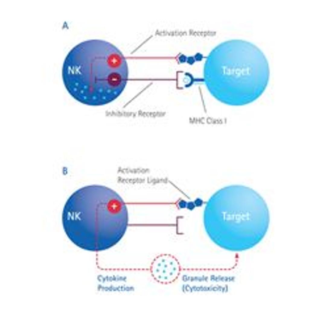 FlowCellect™ Human NK Cell Characterization Kit - Merck - Life Sciences