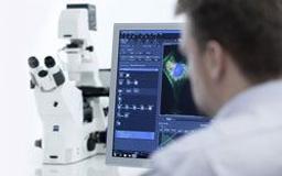 ZEISS ZEN lite - ZEISS Research Microscopy Solutions - Life Sciences