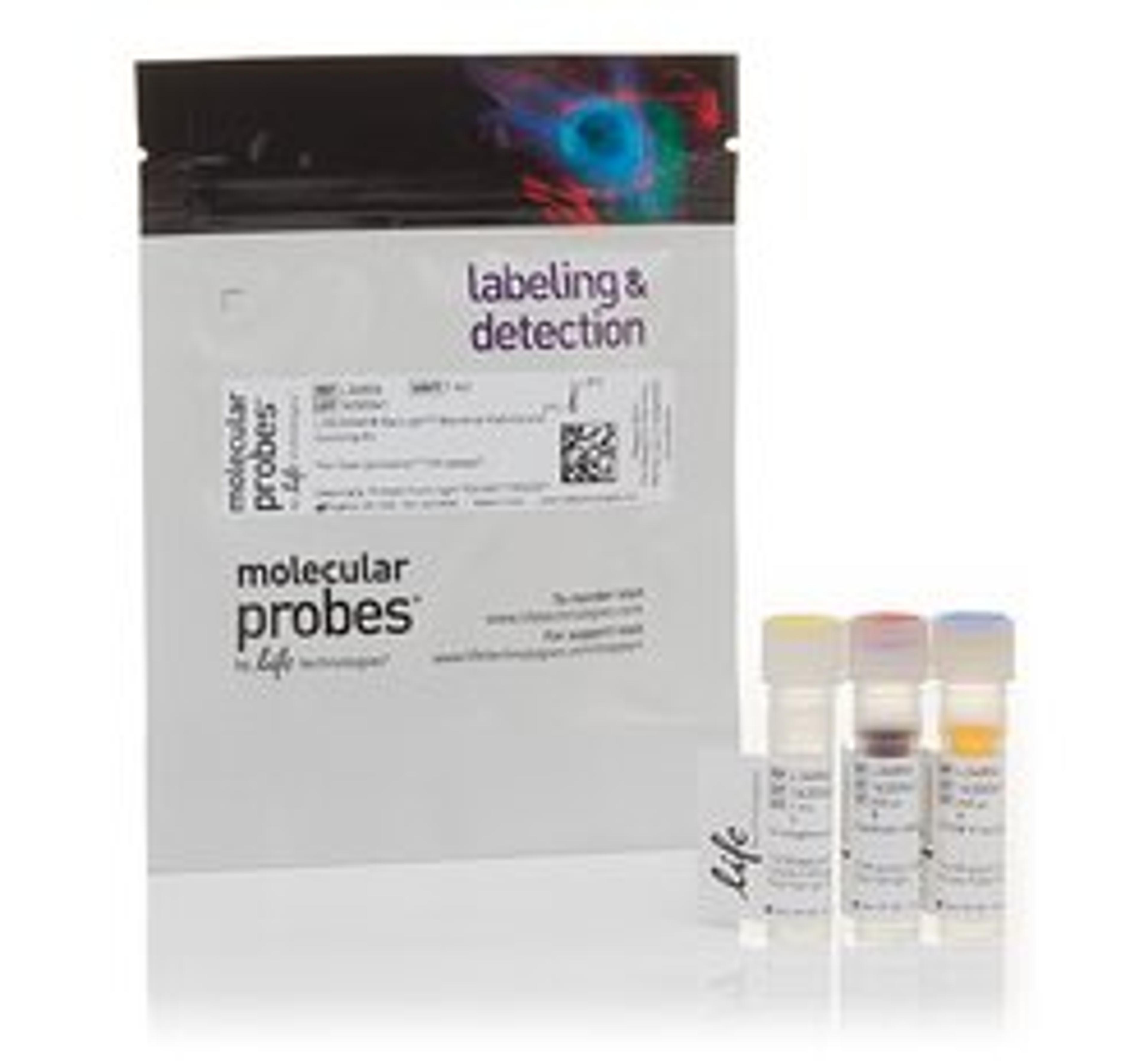 Invitrogenâ„¢ LIVE/DEADâ„¢ BacLightâ„¢ Bacterial Viability and Counting Kit - Thermo Fisher Scientific - Life Sciences