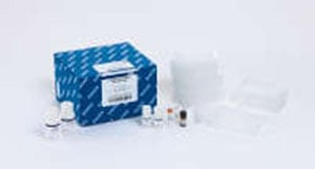 BioSprint 96 DNA Blood Kit (384) - QIAGEN