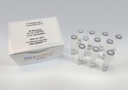 T7-FlashScribe™ Transcription Kit V2 - CELLSCRIPT™ - Life Sciences