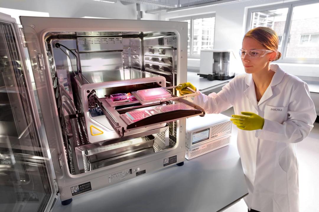 Incucyte® Live-Cell Analysis Systems - Sartorius Group - Life Sciences