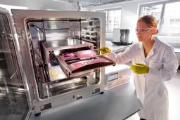 Incucyte® Live-Cell Analysis Systems - Sartorius Group - Life Sciences