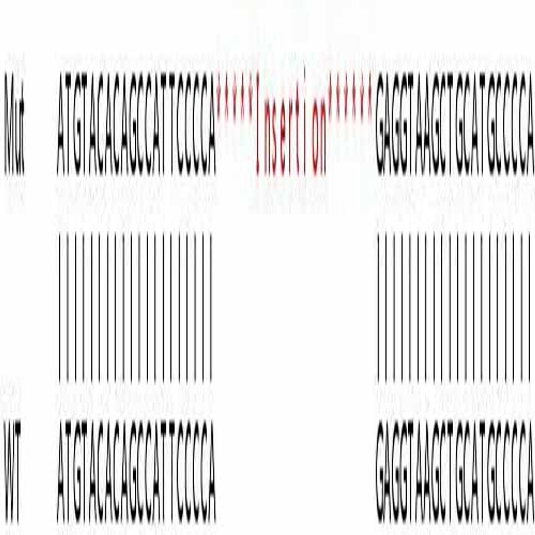 Human CAPG (MCP) knockout HeLa cell line - Abcam plc - Life Sciences