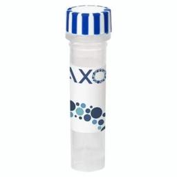 axoCells™ Human NT-3 Supplement (10 µg) - Axol Bioscience - Life Sciences