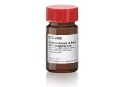Ribonuclease A from bovine pancreas - Merck - Drug Discovery & Development