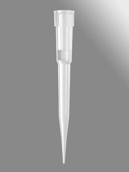Axygen® 96-well tips, 175µL, Clear, Filtered, Sterile, Hanging tip rack - Corning Life Sciences - General Lab