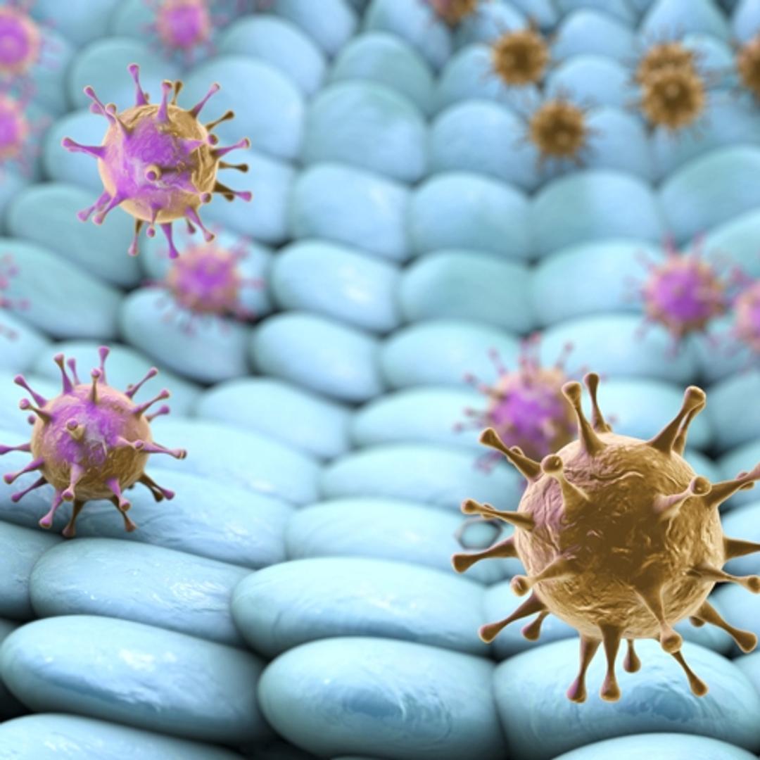 Human Coronavirus 229E Nucleoprotein (E. coli) - The Native Antigen Company - Life Sciences