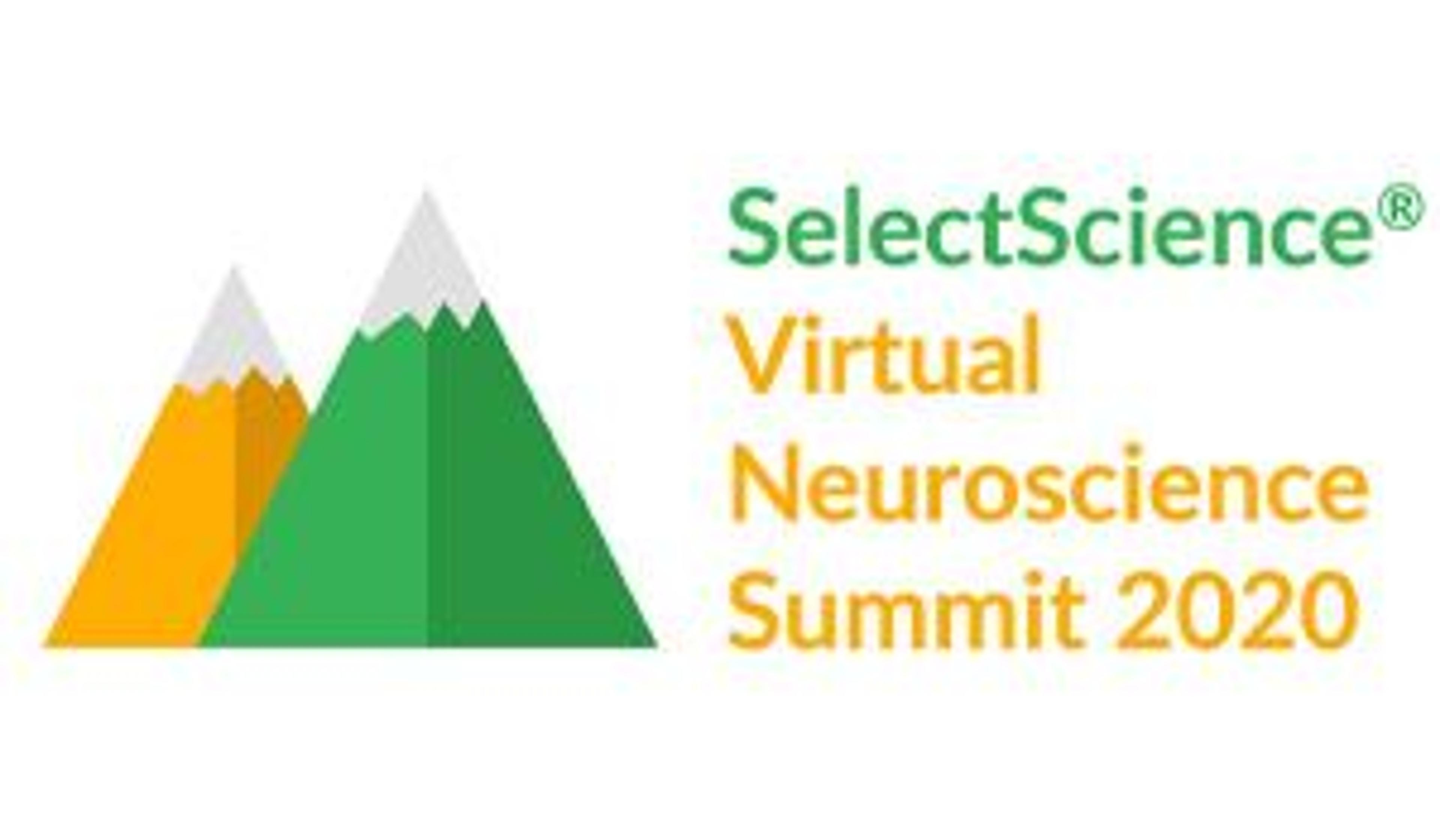 Virtual Neuroscience Summit – On-demand event