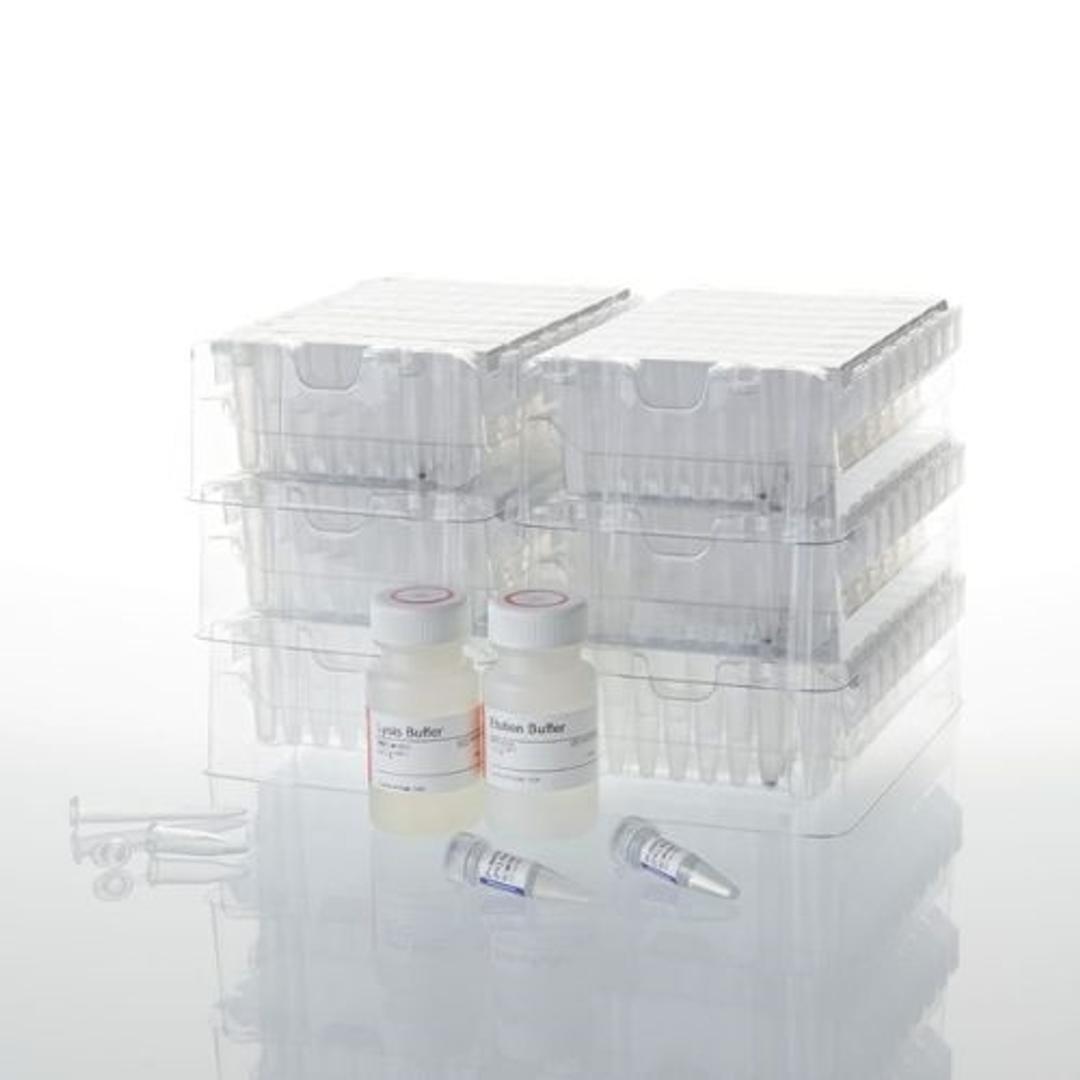 Maxwell® RSC Blood DNA Kit - Promega Corp. - Life Sciences