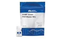 SYBR® Green PCR Master Mix - Thermo Fisher Scientific - Life Sciences