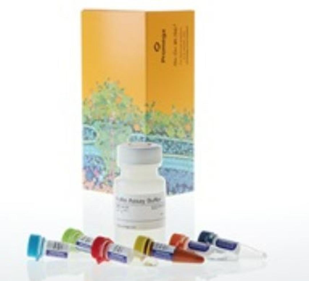 Lumit™ FcRn Binding Immunoassay - Promega Corp. - Clinical Diagnostics