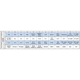 Human Inflammation Array C3 - RayBiotech Inc. - Life Sciences