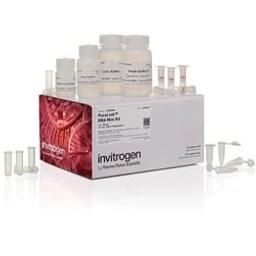 Invitrogen™ PureLink™ RNA Mini Kit - Thermo Fisher Scientific - Life Sciences