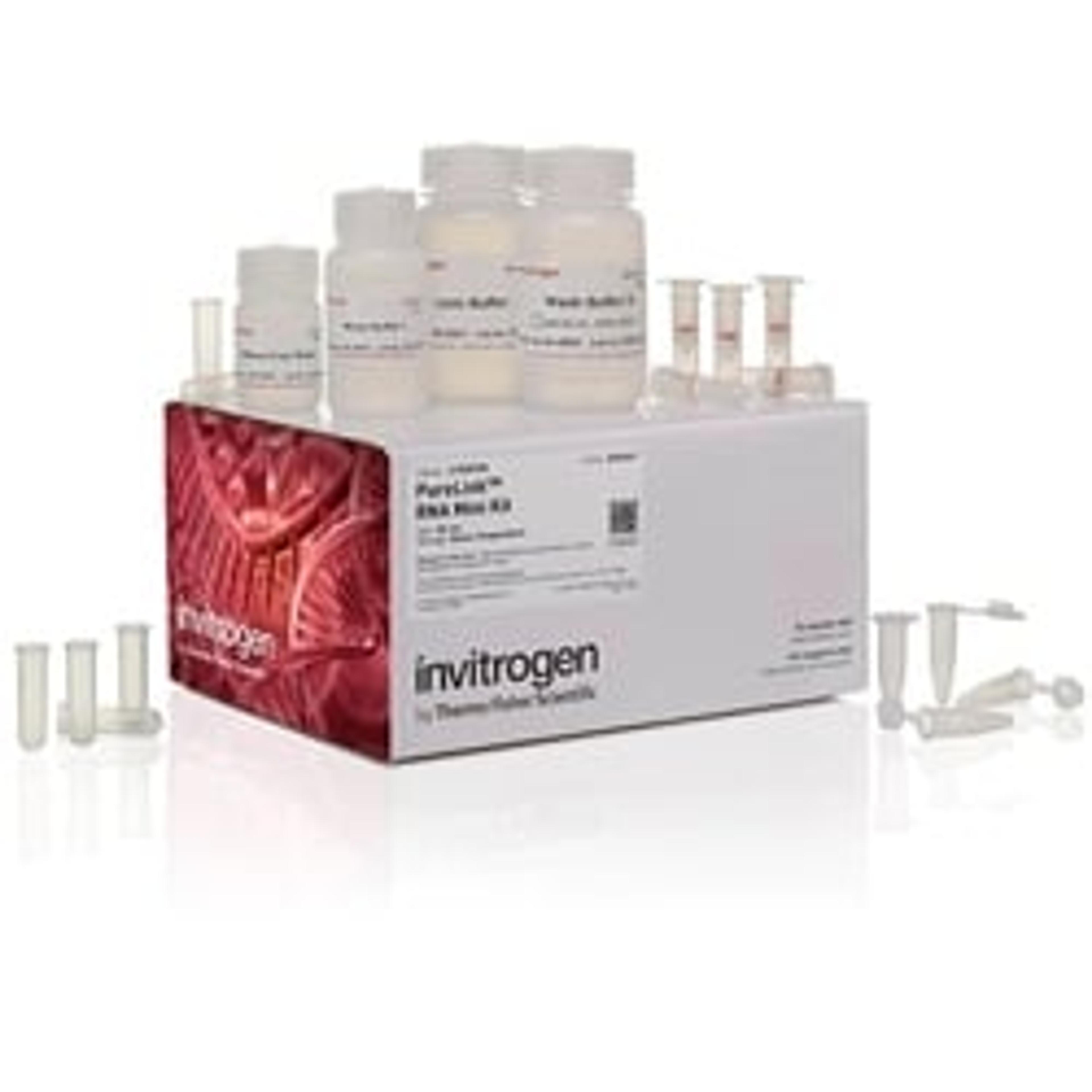 Invitrogen™ PureLink™ RNA Mini Kit - Thermo Fisher Scientific - Life Sciences