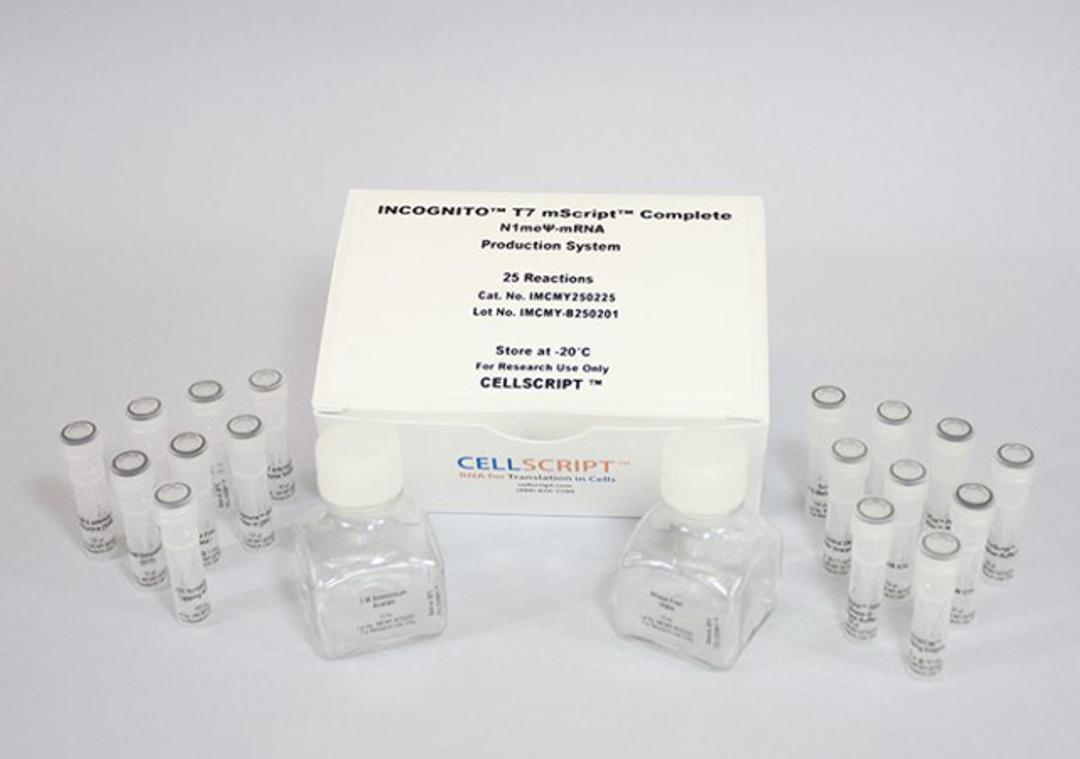 INCOGNITO™ T7 mScript™ Complete N1meѰ-mRNA Production System - CELLSCRIPT™ - Life Sciences