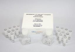 INCOGNITO™ T7 mScript™ Complete N1meѰ-mRNA Production System - CELLSCRIPT™ - Life Sciences