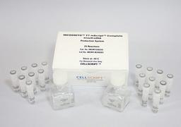 INCOGNITO™ T7 mScript™ Complete N1meѰ-mRNA Production System - CELLSCRIPT™ - Life Sciences