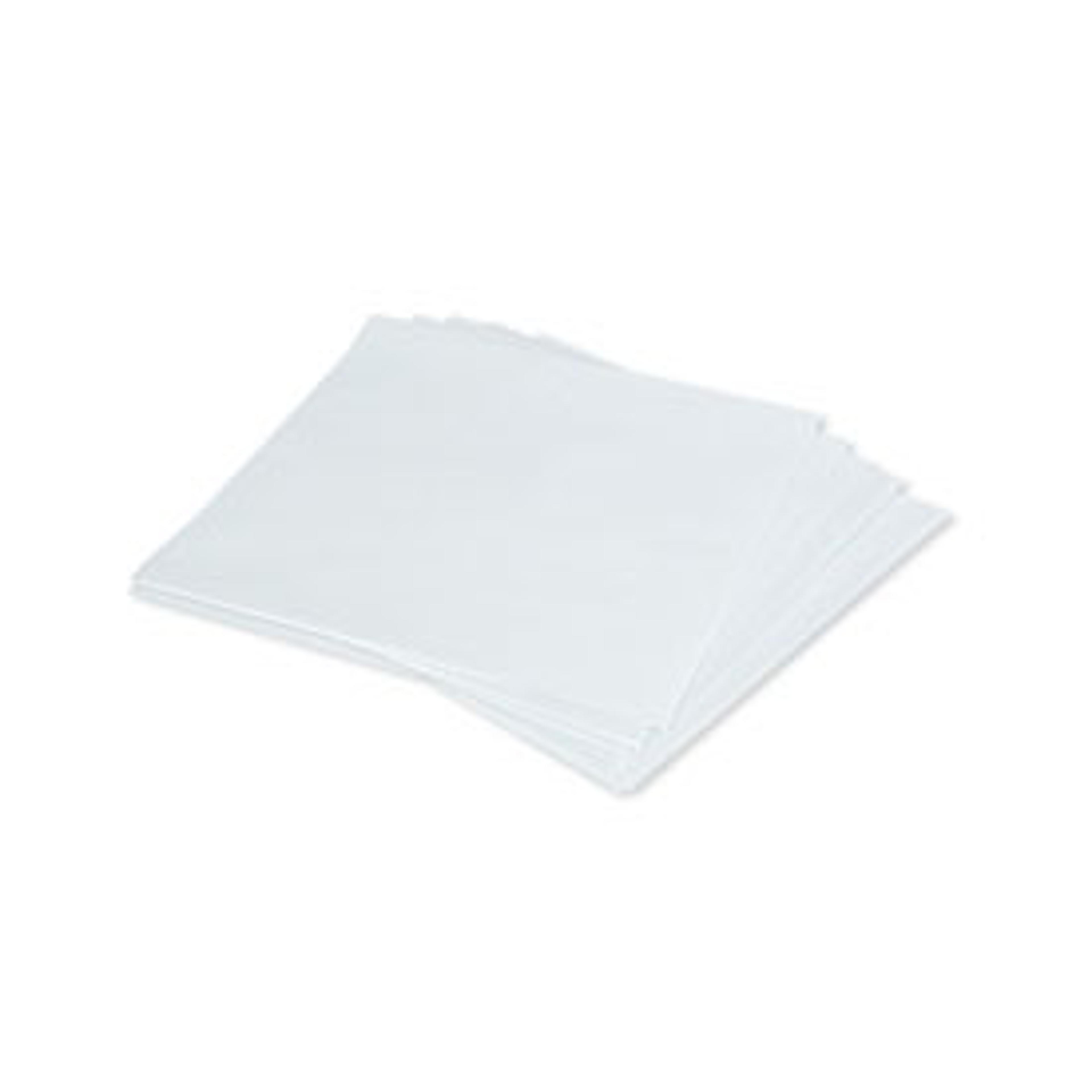 Nitrocellulose Membrane, Precut, 0.2 µm, 20 x 20 cm - Bio-Rad - Life Sciences