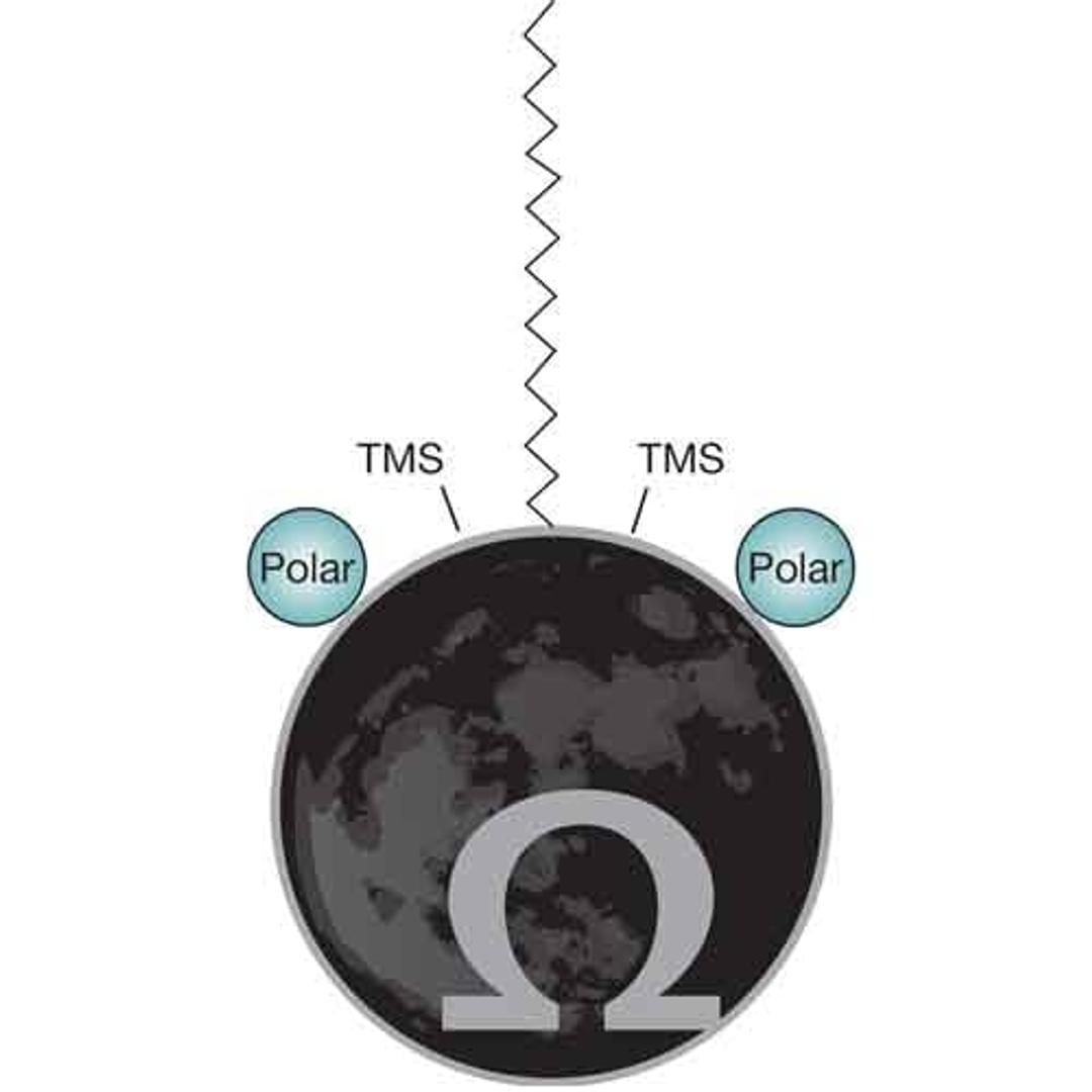 Luna Omega Polar C18 - Phenomenex Inc - Separations