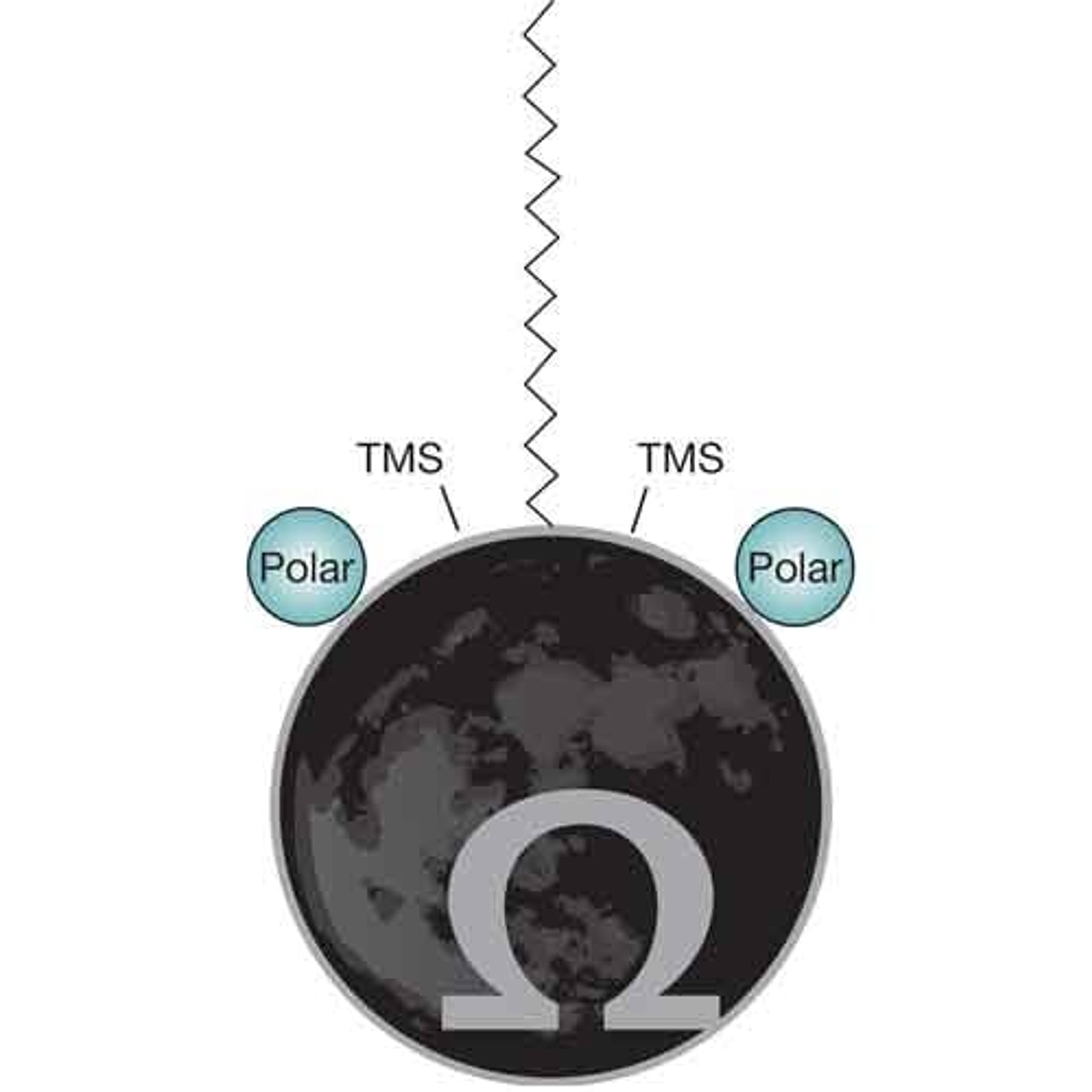 Luna Omega Polar C18 - Phenomenex Inc - Separations