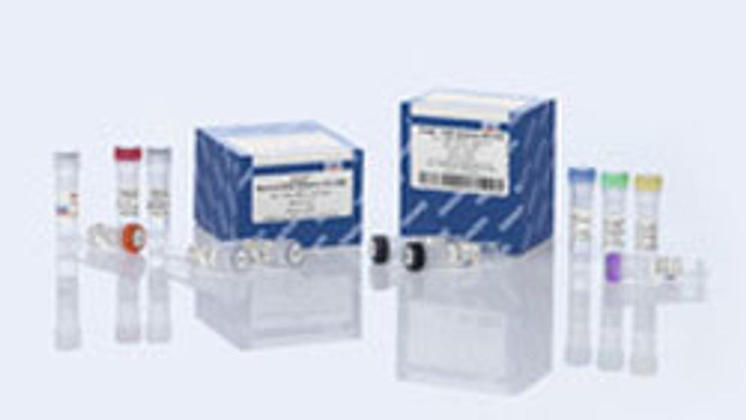 Certal CHO Detection Kit (100) - QIAGEN