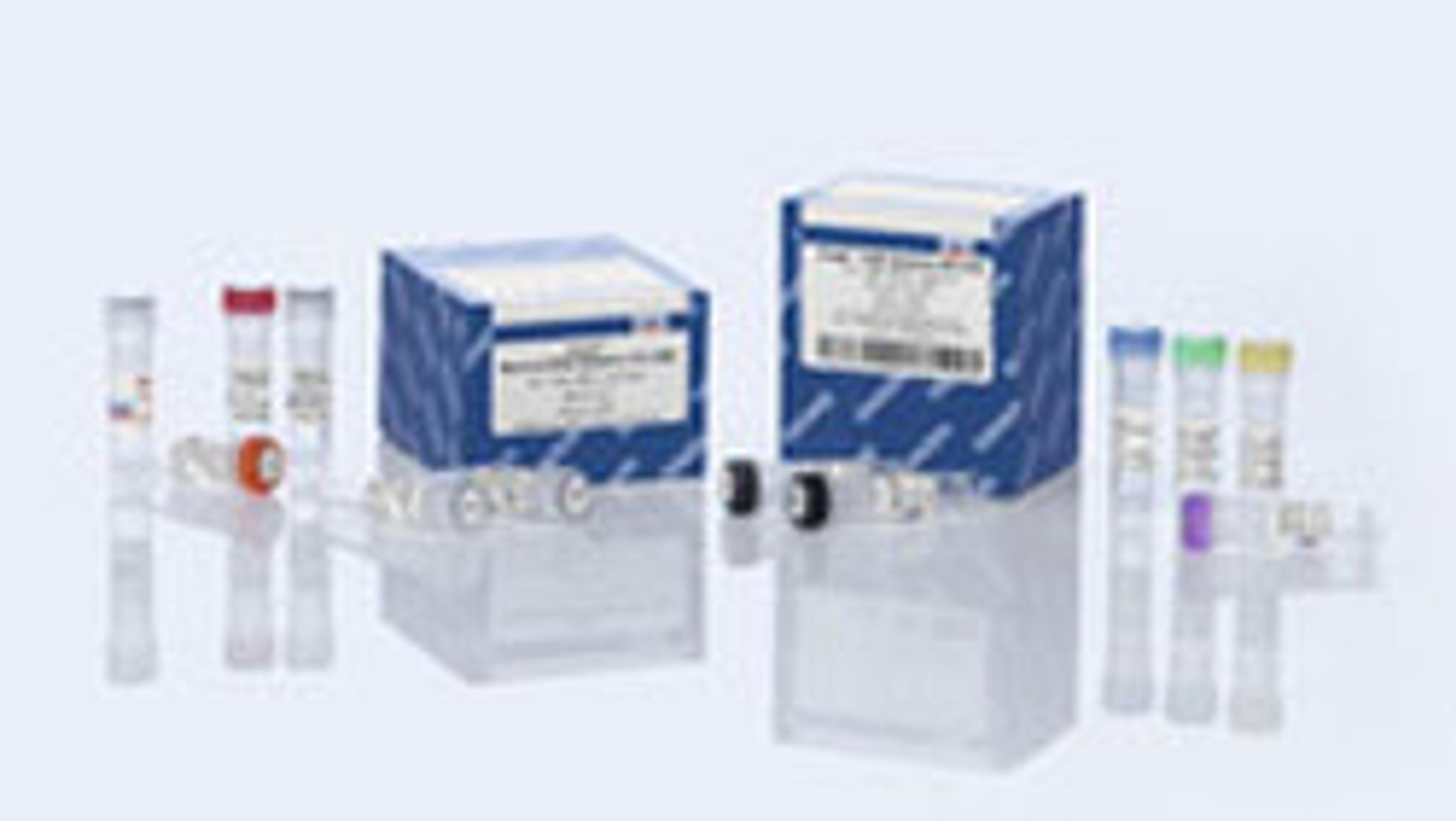 Certal CHO Detection Kit (100) - QIAGEN