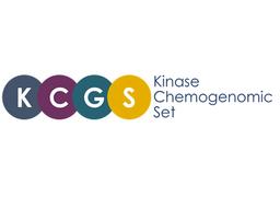The Kinase Chemogenomic Set (KCGS) - Cancer Tools - Drug Discovery & Development