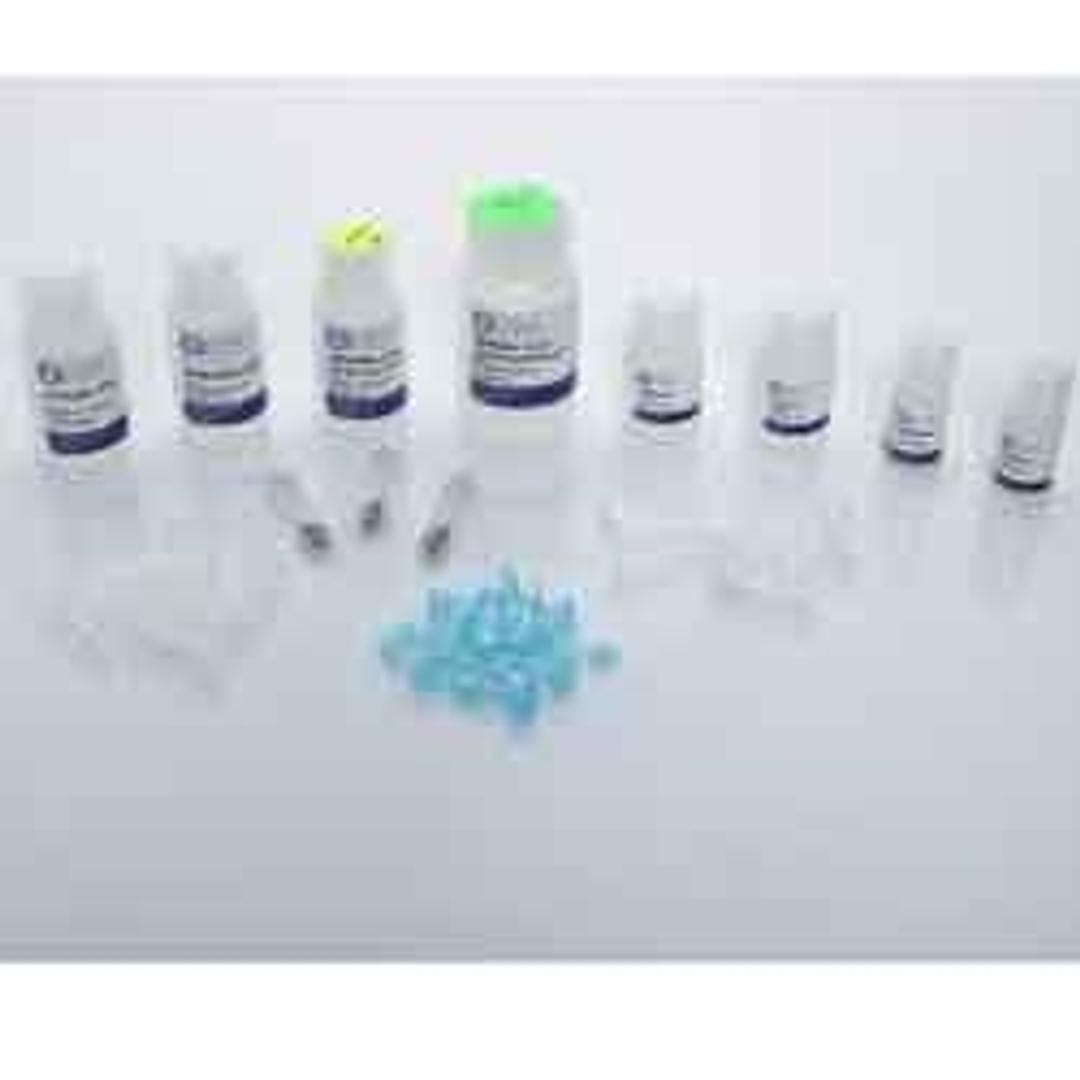 Bead Mill Soil DNA Kit - OMNI International Inc. - Life Sciences