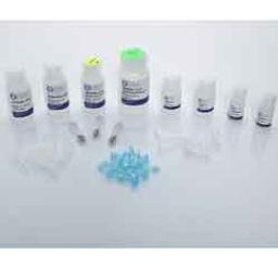 Bead Mill Soil DNA Kit - OMNI International Inc. - Life Sciences