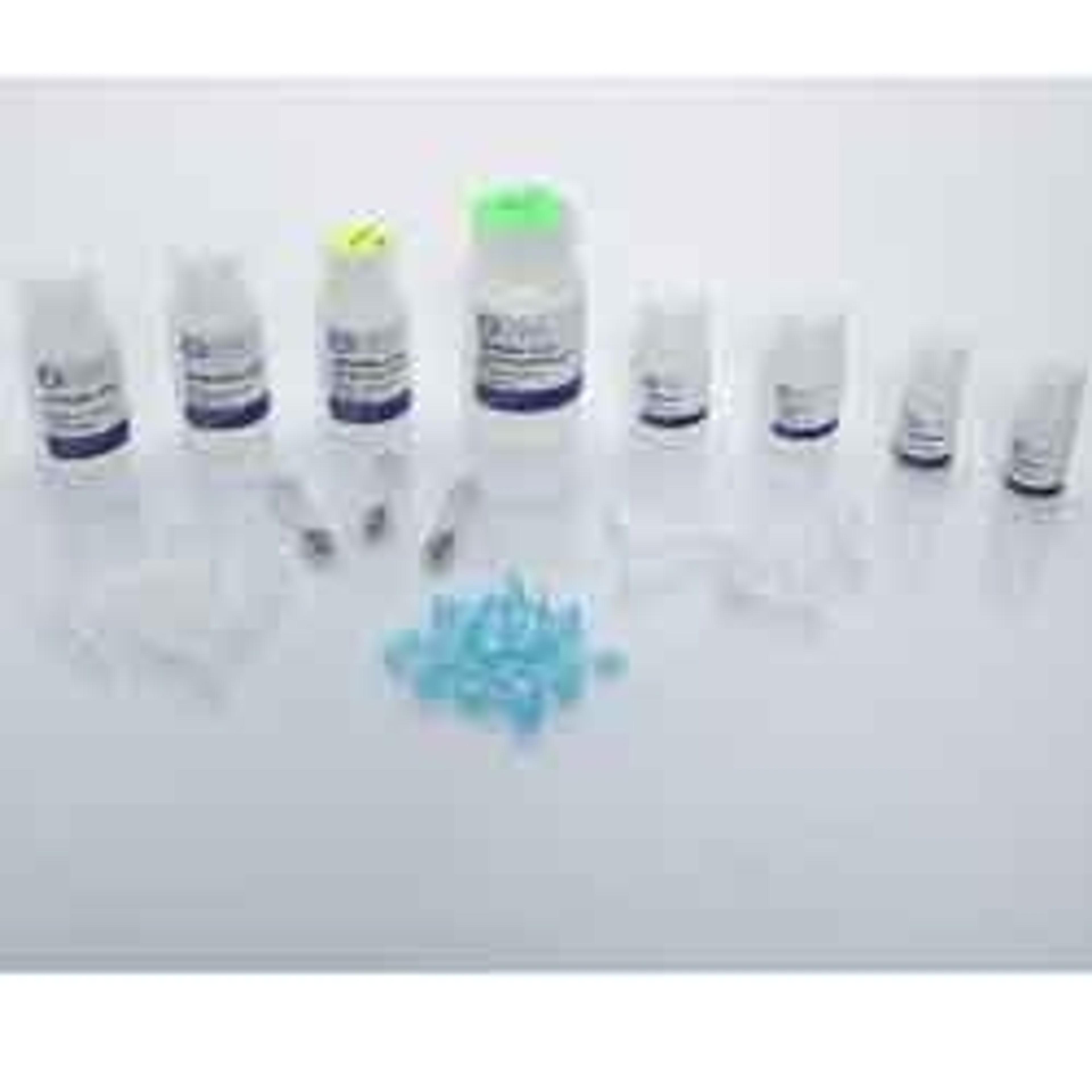 Bead Mill Soil DNA Kit - OMNI International Inc. - Life Sciences