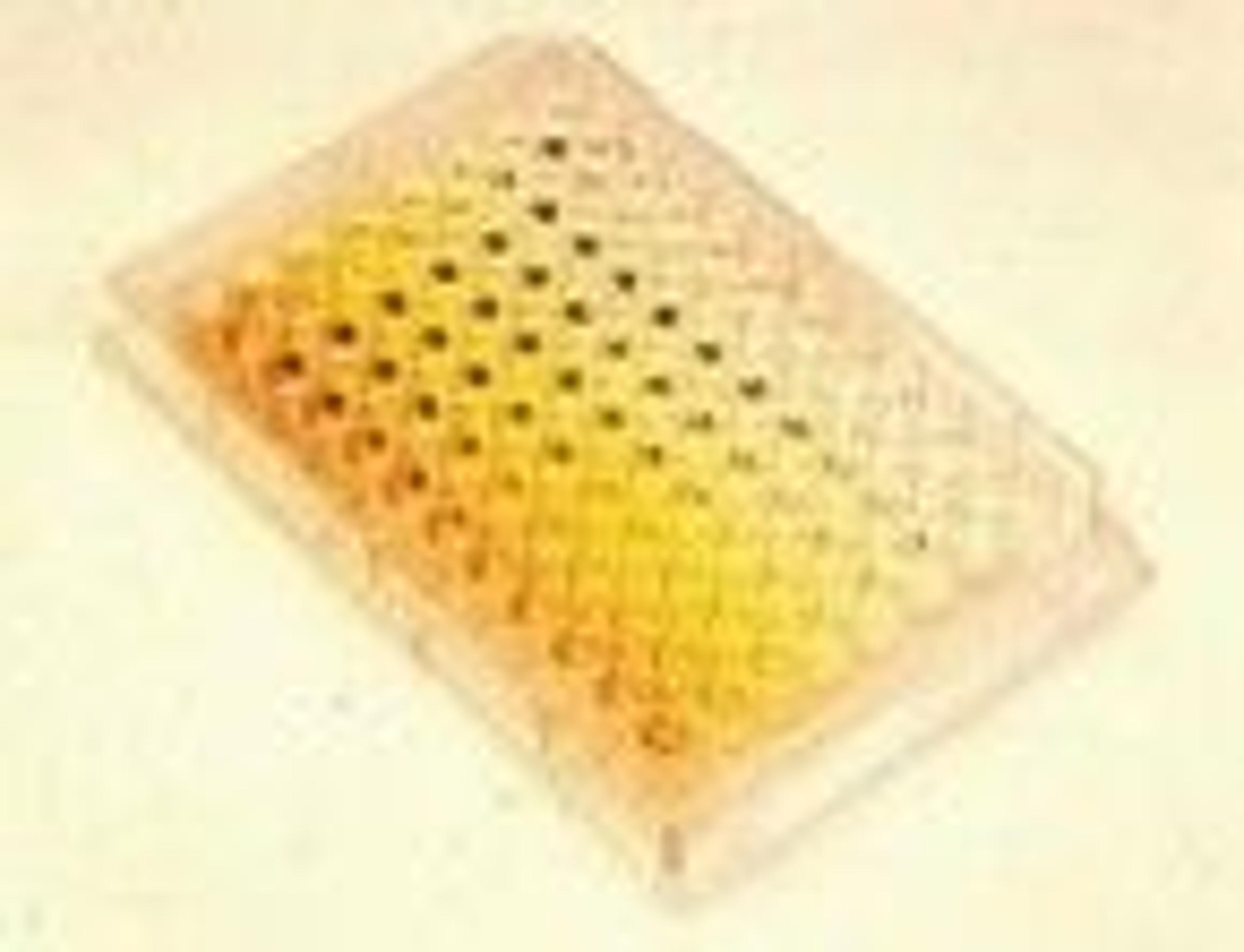 pNPP Substrate - null - Life Sciences