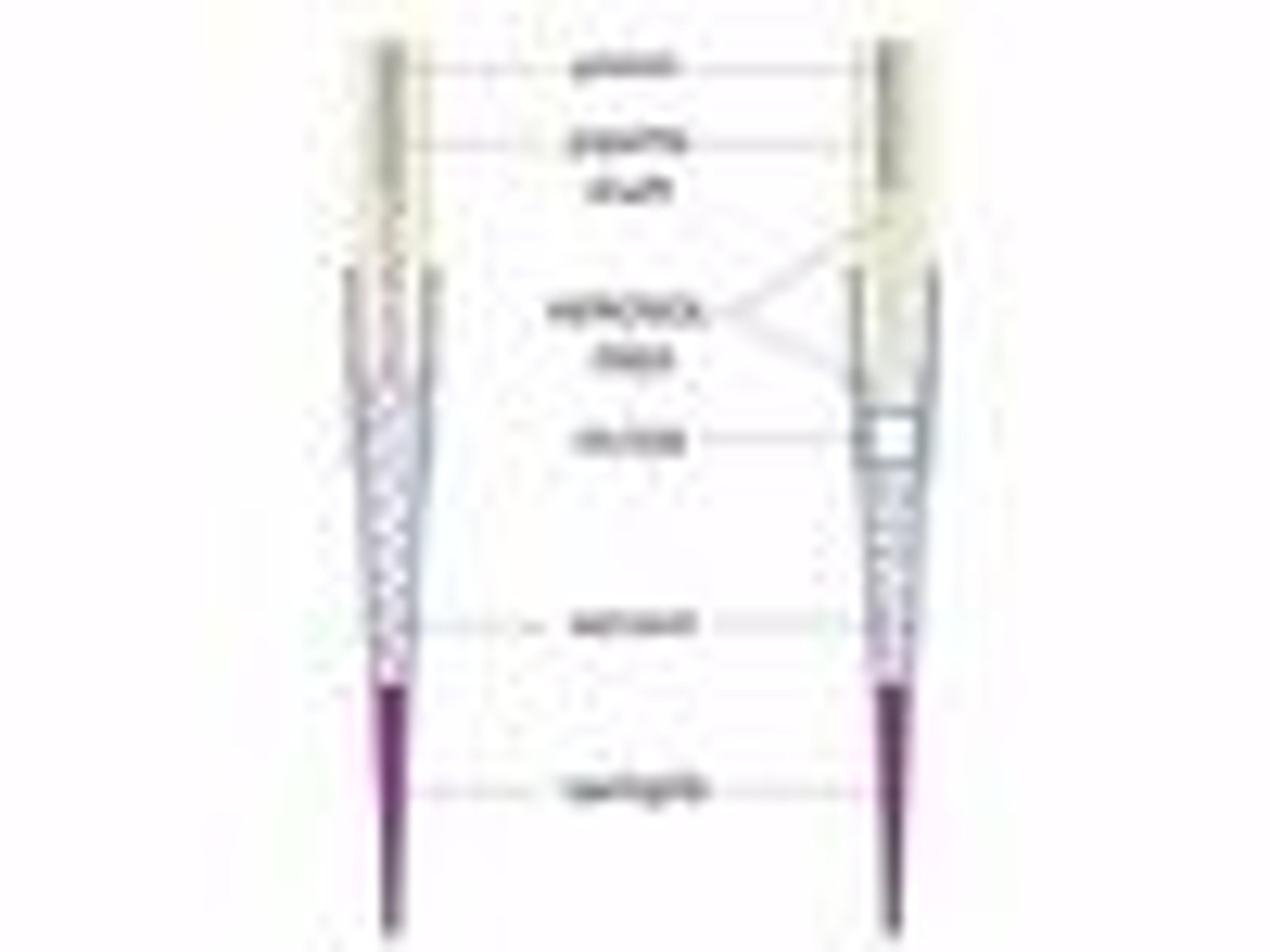 Rainin Pipette Tips 0.1-20uL Filter Racked pk960 LTS RT-L10F - Rainin - General Lab