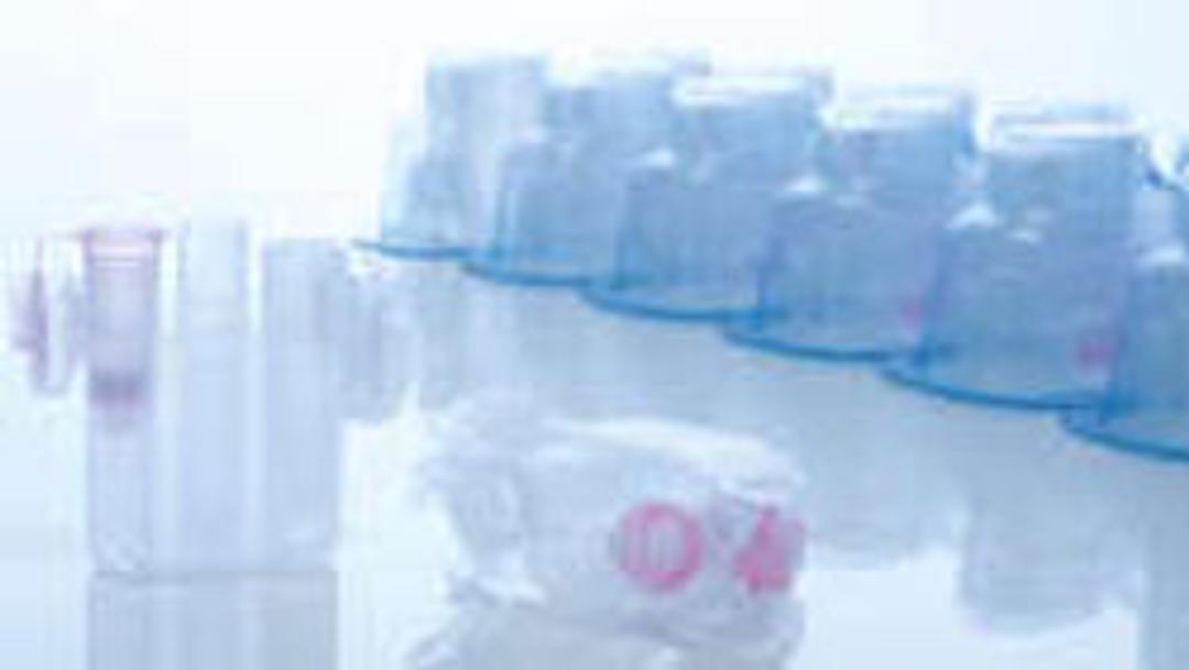 Shaker Rack Plugs (12) - QIAGEN