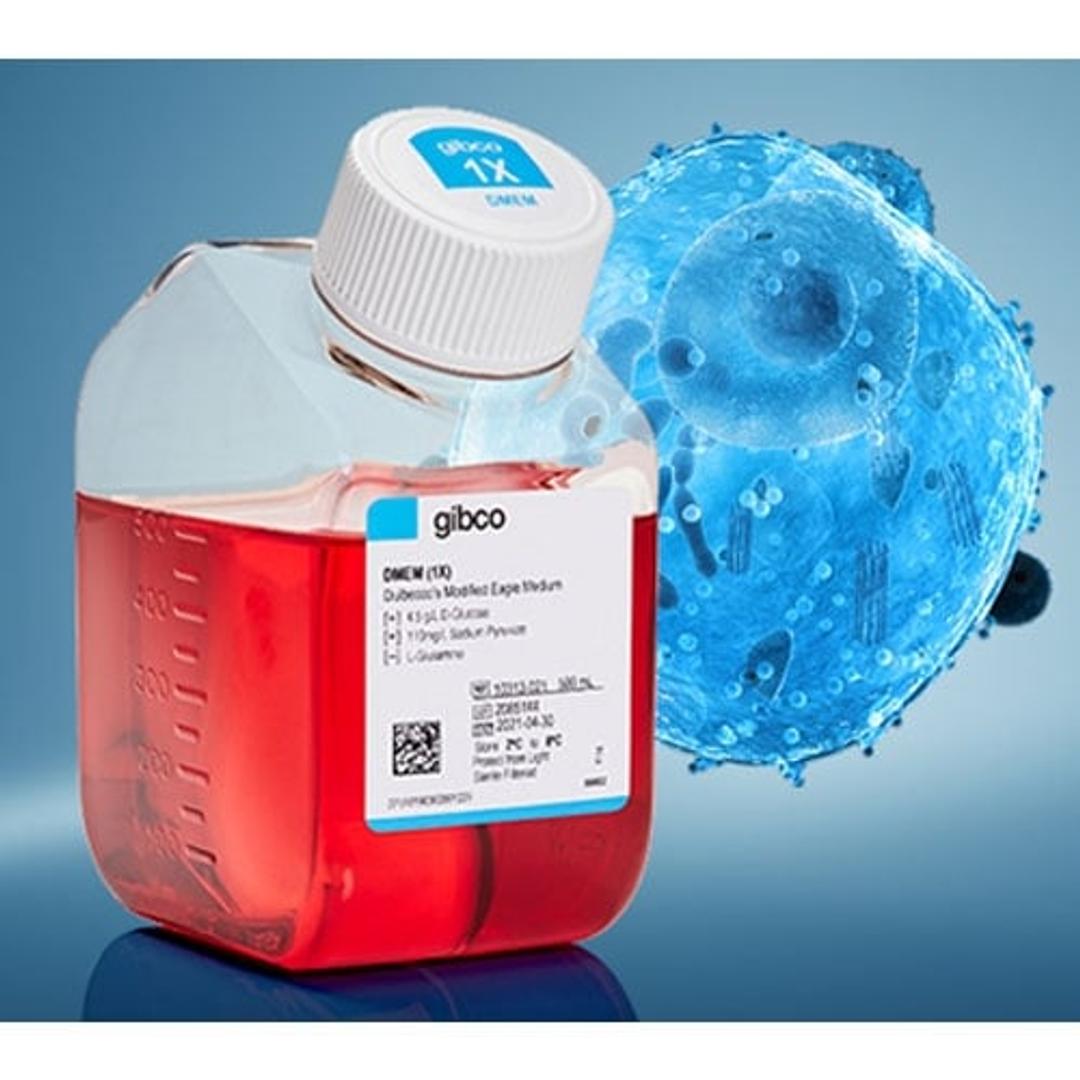 Gibco™ DMEM - Dulbecco's Modified Eagle Medium - Thermo Fisher Scientific - Life Sciences