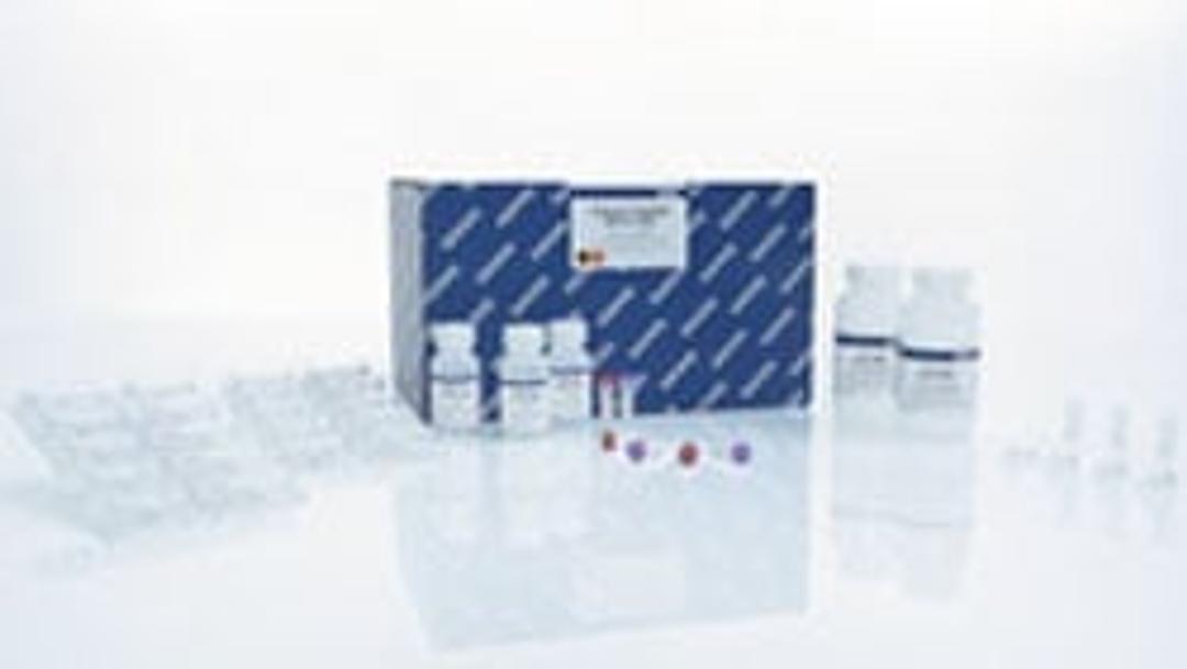 QIAamp Viral RNA Mini Kit (50) - QIAGEN