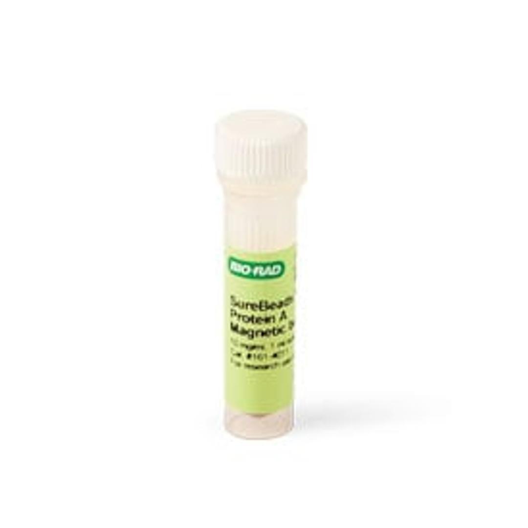 SureBeads™ Protein A Magnetic Beads, 1 ml - Bio-Rad - Life Sciences