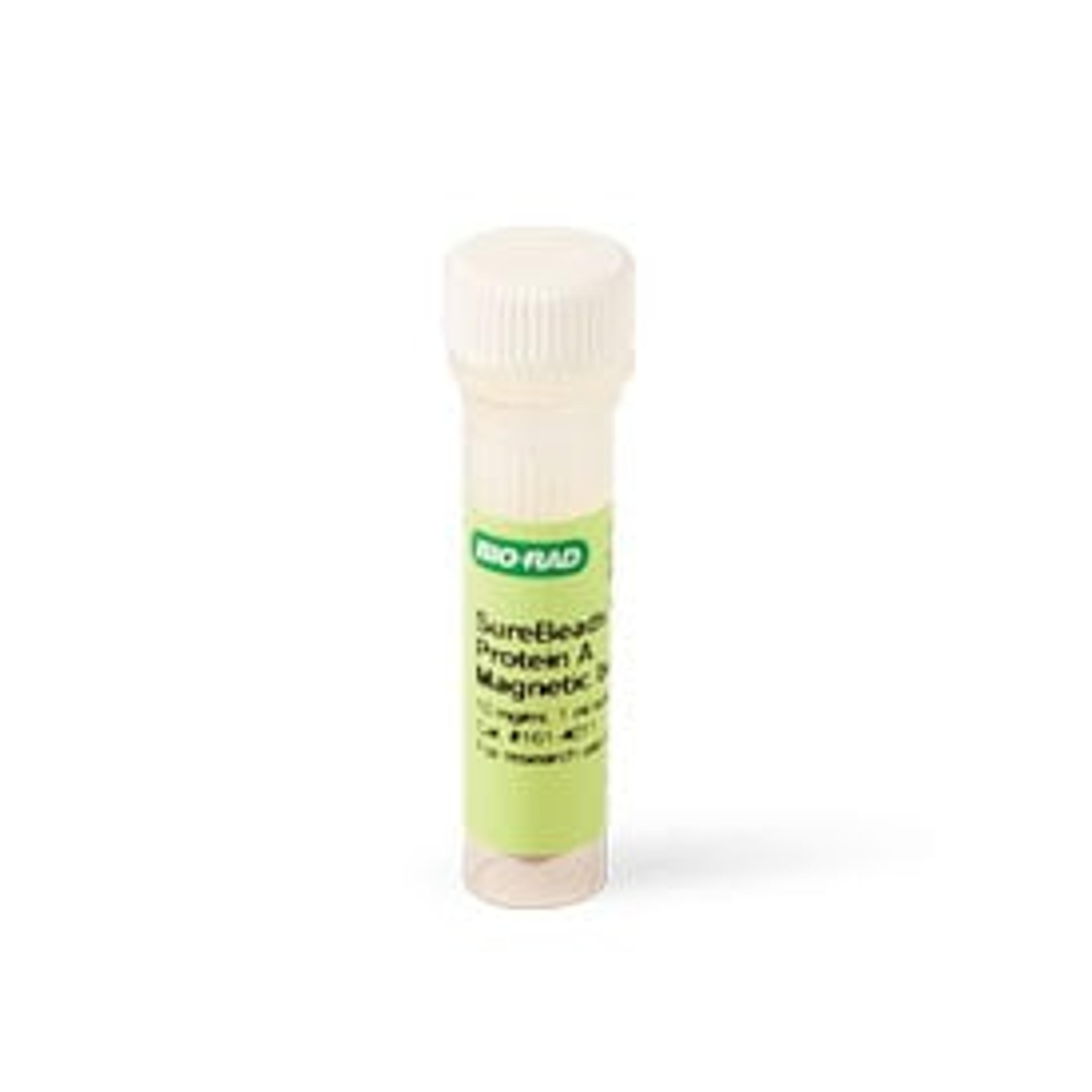 SureBeads™ Protein A Magnetic Beads, 1 ml - Bio-Rad - Life Sciences