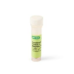 SureBeads™ Protein A Magnetic Beads, 1 ml - Bio-Rad - Life Sciences