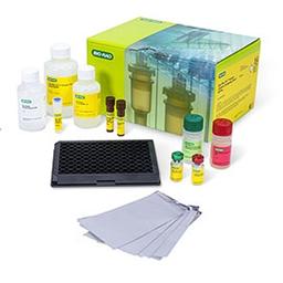 Bio-Plex Pro Human Cytokine 17–plex Assay (M50-00031YV) - Bio-Rad - Life Sciences