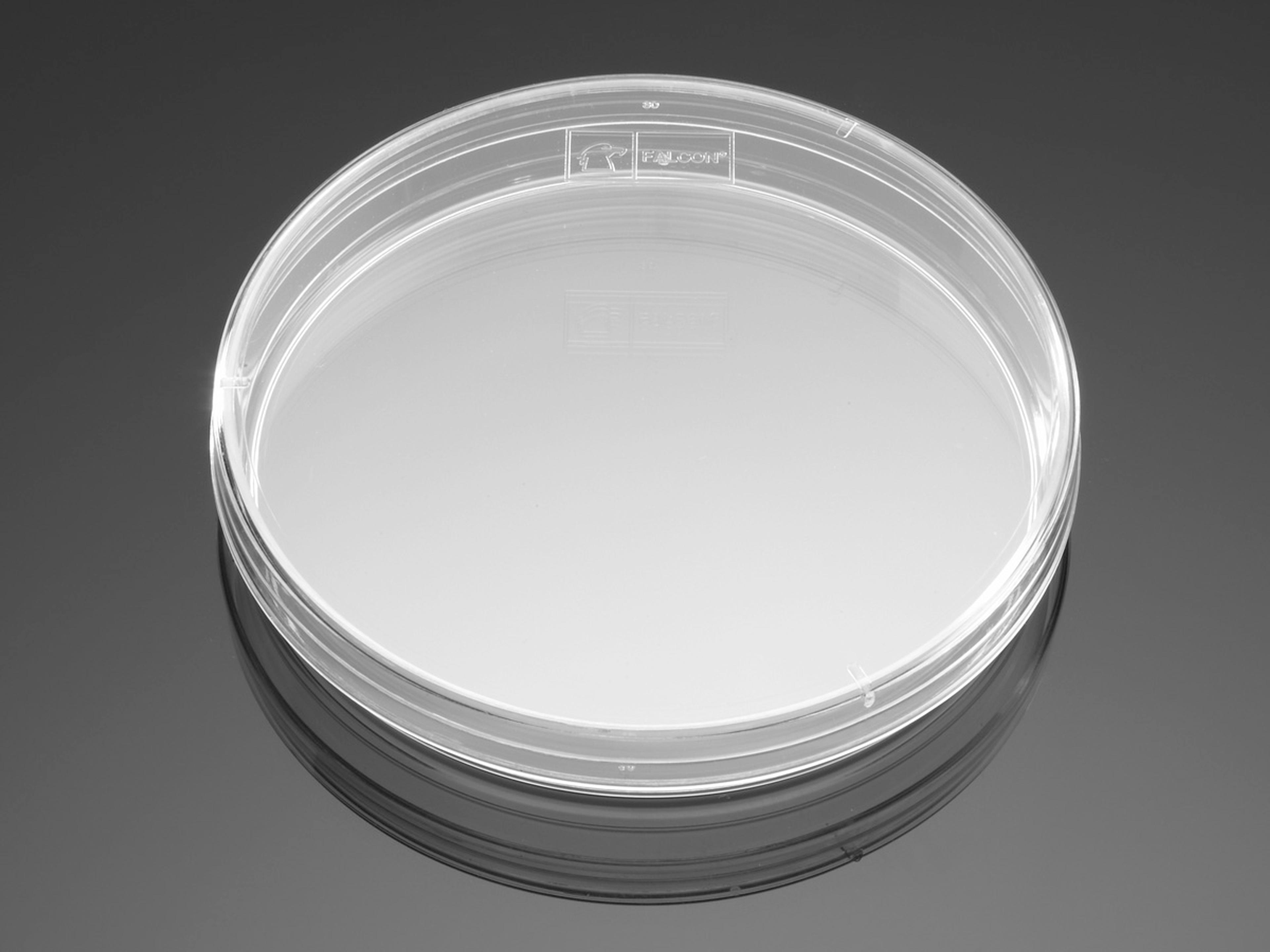 Falcon® 100 mm x 15 mm Not TC-treated Bacteriological Petri Dish, 20/Pack, 500/Case, Sterile - Corning Life Sciences - General Lab
