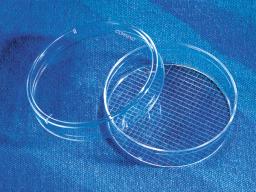 Corning® 60 mm with 2 mm Grid TC-treated Culture Dish - Corning Life Sciences