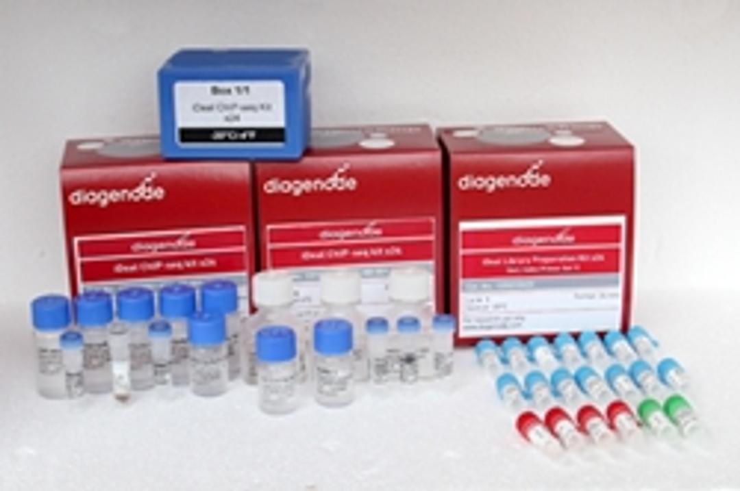 iDeal Library Preparation Kit - Diagenode - Life Sciences
